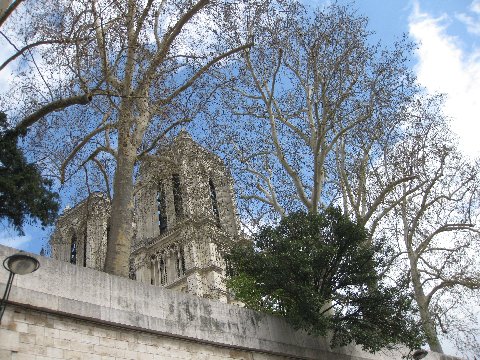 IMG_3607