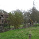 IMG_3700