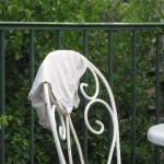 IMG_4386