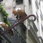 IMG_4585