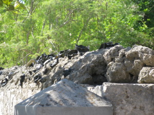 Broken glass on the top of a rock fence around an old Jewish cemetery.