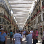 IMG_6164