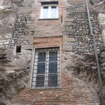 IMG_6290