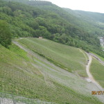 IMG_7185