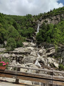 IMG_20190607_120543 (1)