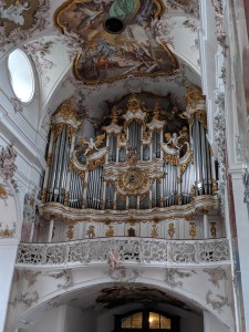MVIMG_20190616_113917